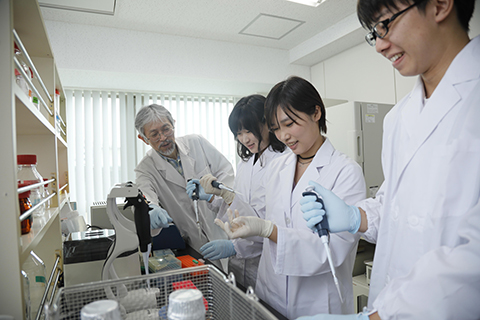 教員・研究室紹介