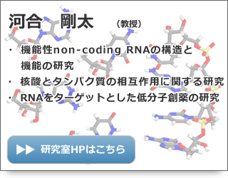 河合 剛太 教授