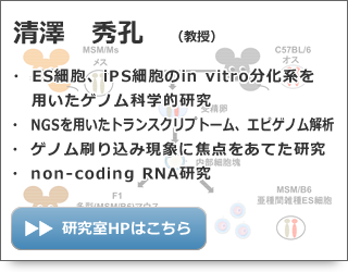清澤 秀孔 教授