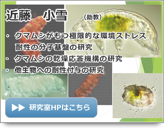 近藤 小雪 助教