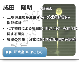 成田 隆明 准教授