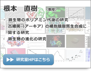 根本 直樹 教授