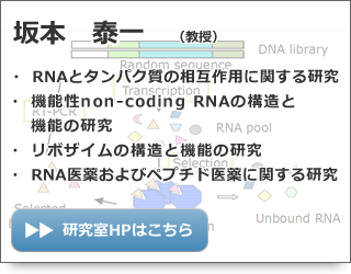 坂本 泰一 教授