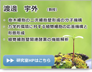 渡邊 宇外 教授