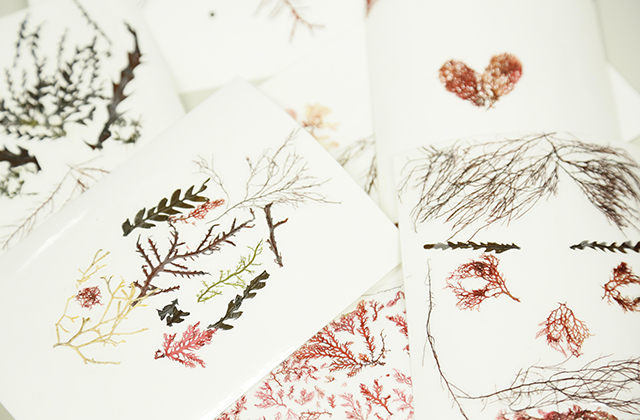 化粧品開発,環境分析,コンサルタント