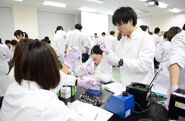 Basic Research of Life Sciences