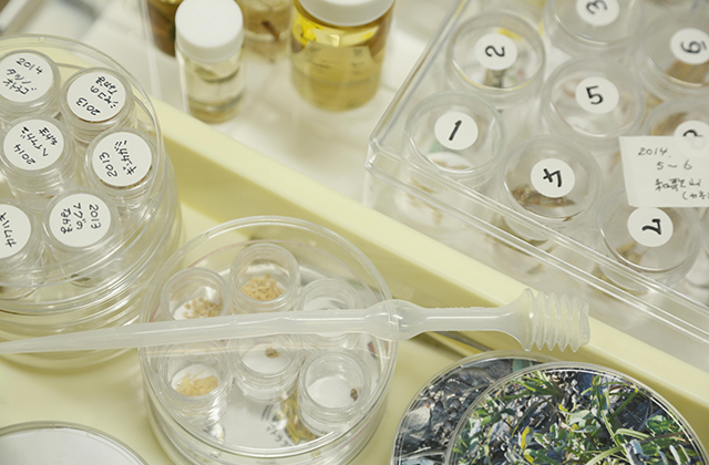 オープンキャンパス