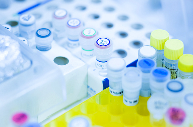 学びのポイント