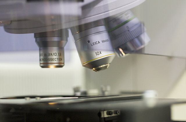 どんなふうに学ぶの？