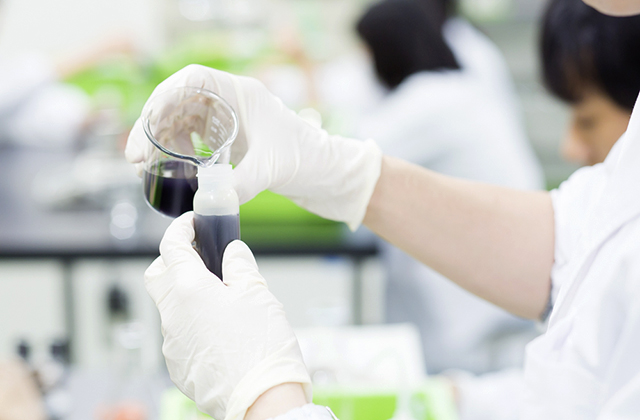 カリキュラム 2年次