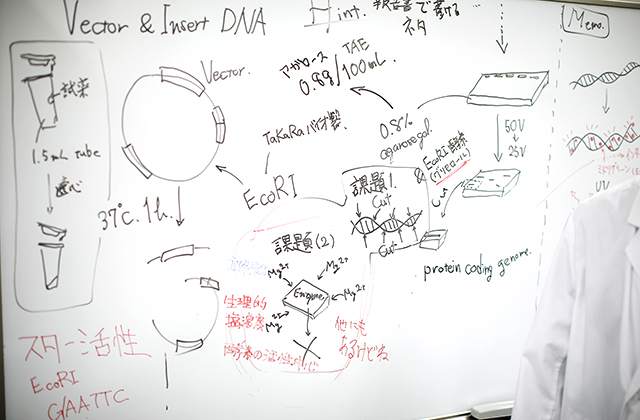 カリキュラム 4年次